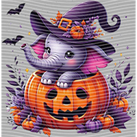 Halloween-WS 5731